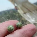 серьги гвоздики с натуральными камнями